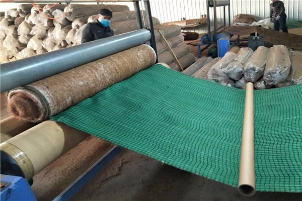 影響環保生態毯力學性能的主要因素是？